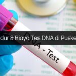 Prosedur & Biaya Tes DNA di Puskesmas