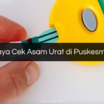 Biaya Cek Asam Urat di Puskesmas