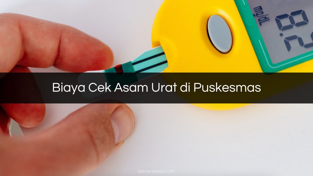 Biaya Cek Asam Urat di Puskesmas