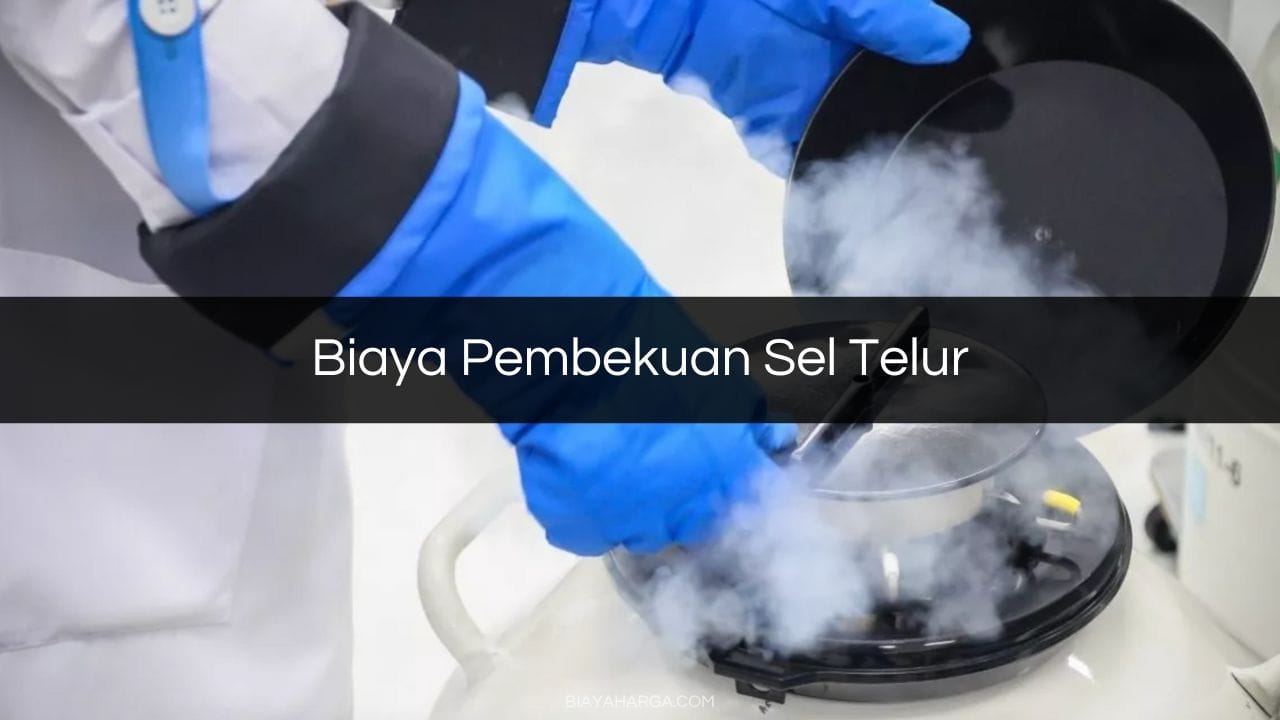 Biaya Pembekuan Sel Telur