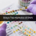 Biaya Tes Narkoba di BNN