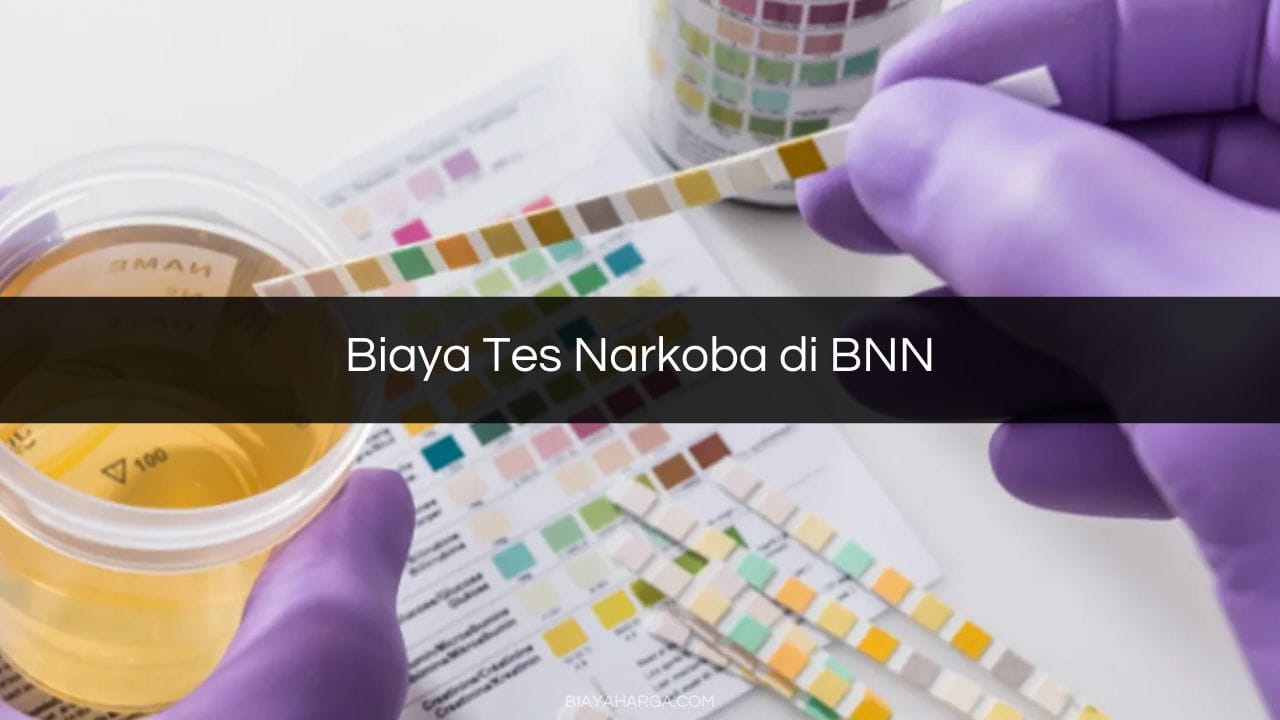 Biaya Tes Narkoba di BNN