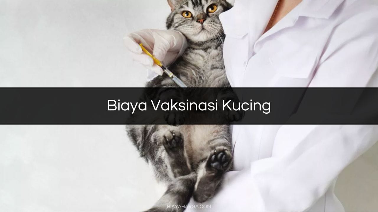Biaya Vaksinasi Kucing